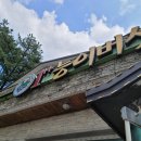 능이버섯백숙 이미지