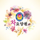 한진교통㈜ | 중산동 요양원 일산차요양원 여기서의 생활, 정말 만족스러웠어요