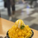수서역 카페 베가 VEGA 생망고 빙수 후기
