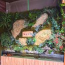 가나안 김밥 | 가나안덕 백운호수점 🦆백운호수맛집 💛엄마랑 몸보신 데이트