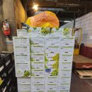 한국체대 신일태권도장 이미지