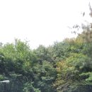 죽장휴게소 이미지