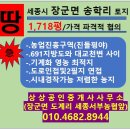 공주명당공인중개사사무소 | 대토 및 전업농을 위한 최고의 선택, 세종시 장군면 송학리 대단위 농지매매(절대농지 1,817평, 가격...
