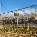 교동농장 이미지