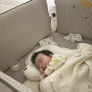 뽀댕뽀댕 이미지