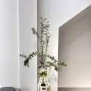 뉴블커피 이미지