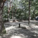 D17 | [충청북도 제천시] 월악산국립공원 용하야영장