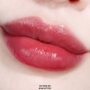 틴트 추천 신제품 입생로랑 잉크 틴트 미드나잇로즈컬렉션 신상 4종 전색상 비교 발색 후기!