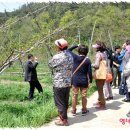 이순희농장 이미지