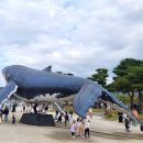 호수행정사 사무소 이미지