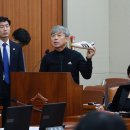 도마아디다스