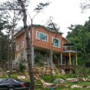 소나무 전경 이미지