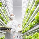 연암농장 이미지