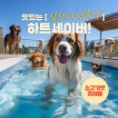 시네마약국 이미지