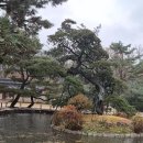 유네스코 종묘사직탐방 이미지