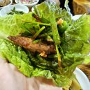 자연을닮은사람들 이미지