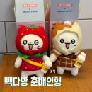 콜다방 - 청도군 고수서3길 2 | 빽다방 춘배 인형 출시일 오픈런! 춘배인형키링&의상세트 내돈내산 실물 후기