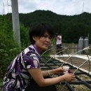 토고미농장 이미지