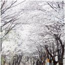 하성리마을회관 이미지