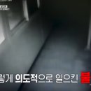 정신병자 강제입원이 금지된 이후 현재 대한민국이 치루게 된 사회적 비용 ㄷㄷㄷ 이미지