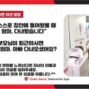 고려대석사태권도장 이미지