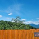 월리584 | [양양독채펜션] 양양풀빌라 서피비치 하조대 낙산사 양양숙소 월리584