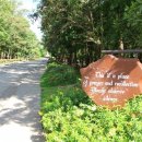 사랑안경타운 이미지