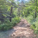 십이폭포민박 이미지