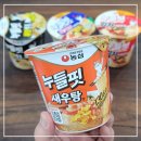 라면이랑 우동 | 농심 신상라면 누들핏 새우탕 육개장 김치사발면 튀김우동 시식 후기