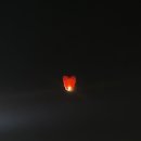 오뎅요코센 이미지