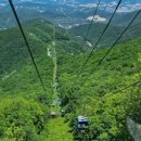 대인카프라자 이미지