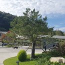 월송리CC OUT 코스 이미지