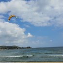 세파에 따르지 이미지