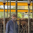 옥천축산 이미지