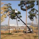 풍광초교 | 복대동스카이차 강서동스카이차 고층작업 고민 끝!