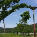 강진호수공원캠핑장 이미지