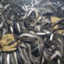 국향한우 이미지