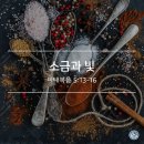 소금과 빛 이미지