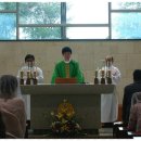2011년 11월 3일 박병규 요한보스코 신부님 첫 미사 및 환영식 이미지