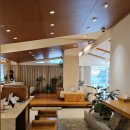 pet55더2666 | 마곡 미용실 차홍룸 마곡점 김보나ㅣ로레알 애쉬브라운 염색 &amp; 하이 레이어드 컷 후기