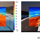 단성목장 이미지