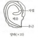 Re:종자 산업기사 필답 정답 복기해봅니다. 이미지