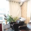 샴푸보이 이미지