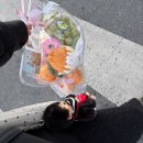 치유를 위한 슬기로운 대화생활 | 슬기로운환자생활 ep14_조혈모세포이식 후 6개월 좋은 소식🎶