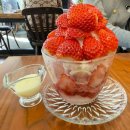 문정역 2번출구 | 문정역카페 페이지｜빙수맛집인데 두바이쫀득쿠키도 판매하는 디저트카페