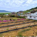 선학농장 이미지