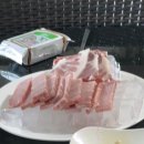 포비라이프