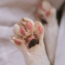 두번째산책 이미지