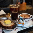 충남청양점뚜레쥬르 | <일상> 2025 연말 🐷