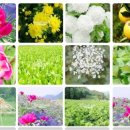 (주)옴니허브 이미지